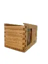 Untitled Project-5.webp