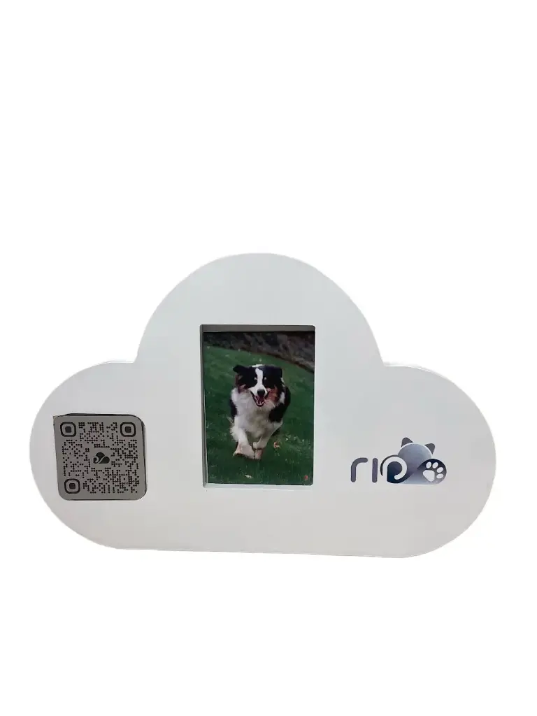 Cloud Frame